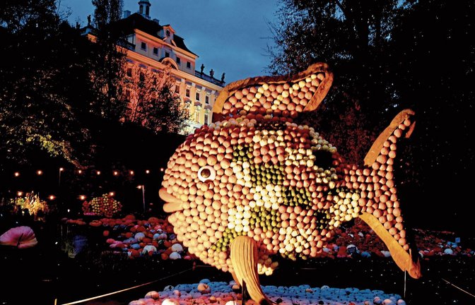 Die Kürbisfiguren im Blühenden Barock erstrahlen im neuen Licht. Foto: Kuhnle