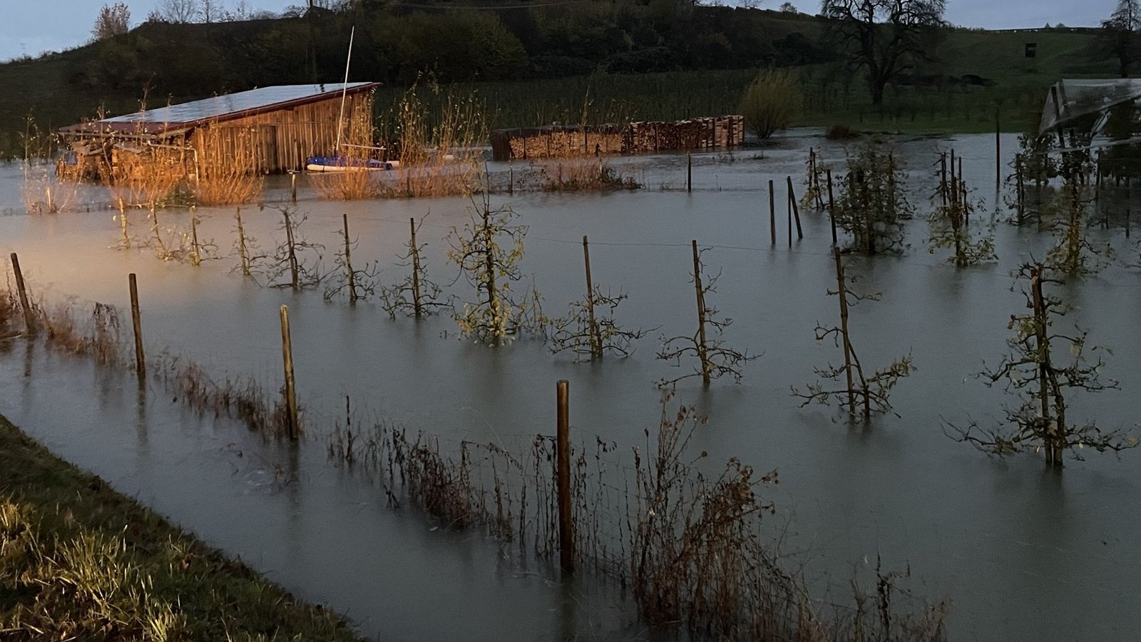 Eine Obstplantage stand unter Wasser.Foto: Kreisfeuerwehrverband Bodenseekreis e. V.