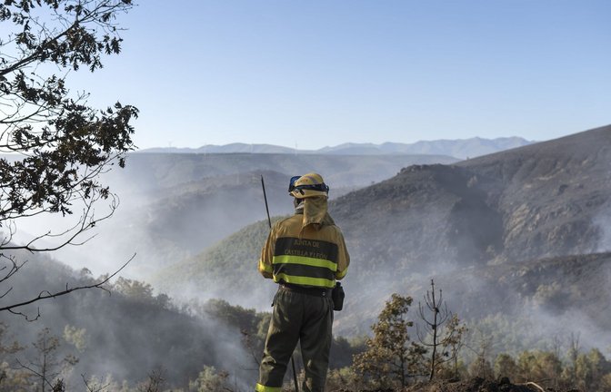 Feuerwehrleute haben die schwersten Waldbrände in Portugal und Spanien nach Behördenangaben unter Kontrolle gebracht.<span class='image-autor'>Foto: EUROPA PRESS/dpa/Emilio Fraile</span>