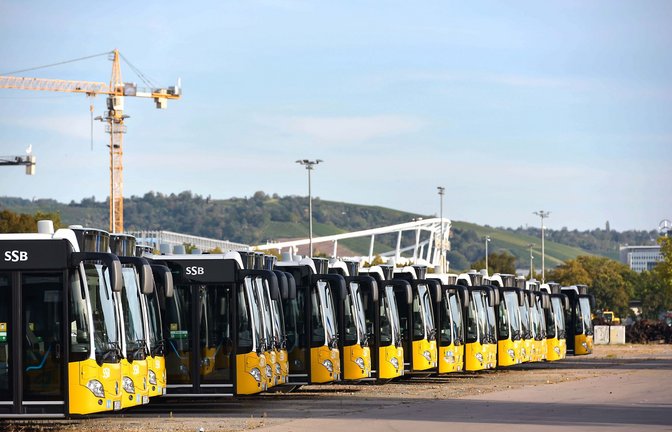 Die Busflotten im Land sollen im Rekordtemp auf neue Antriebe umgestellt werden.<span class='image-autor'>Foto: Lichtgut/Max Kovalenko</span>