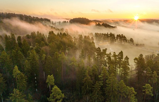 So idyllisch sieht es im Wald in Baden-Württemberg nicht mehr überall aus – der Klimawandel wird spürbar.<span class='image-autor'>Foto: IMAGO/imagebroker</span>