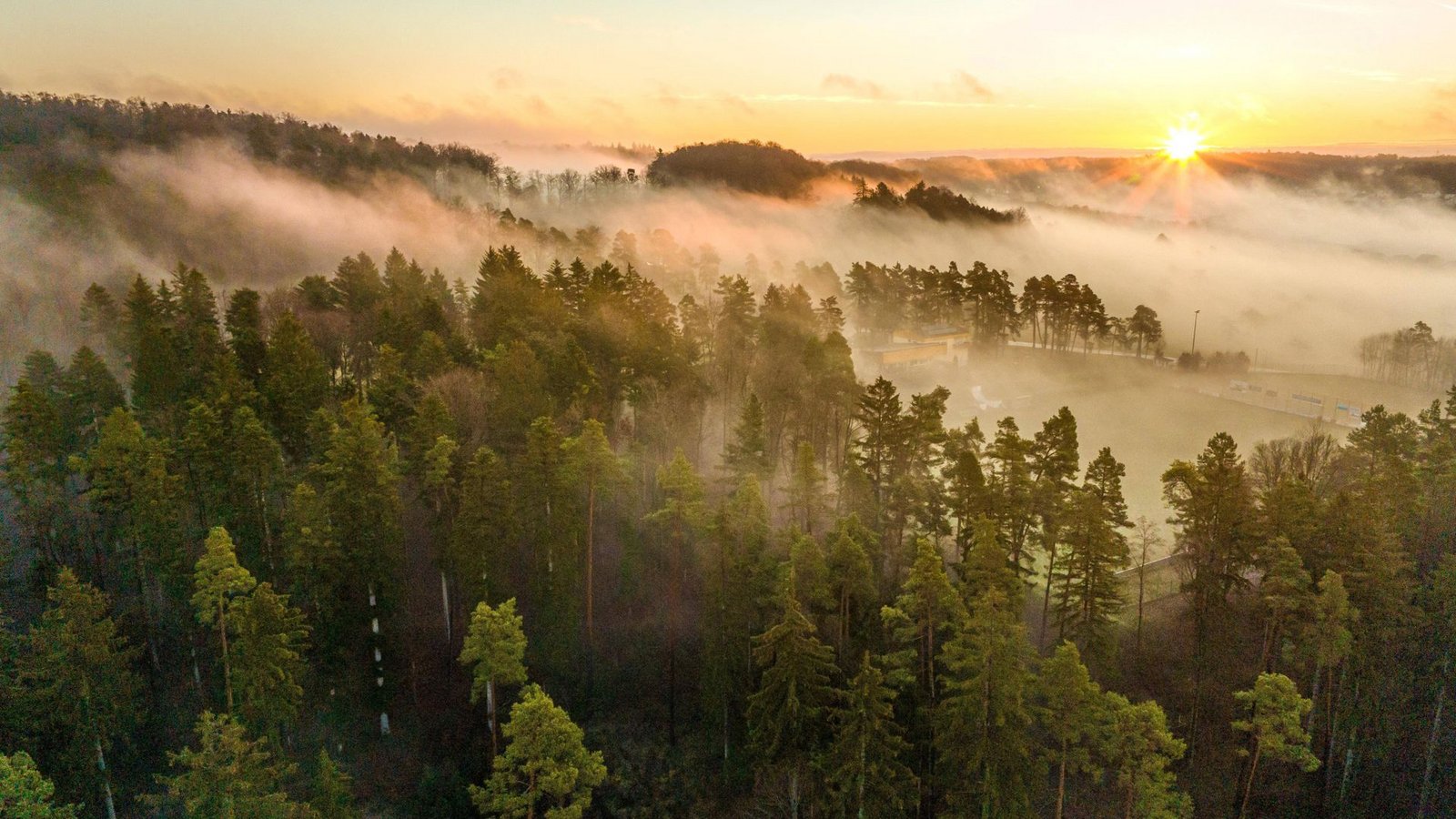 So idyllisch sieht es im Wald in Baden-Württemberg nicht mehr überall aus – der Klimawandel wird spürbar.Foto: IMAGO/imagebroker