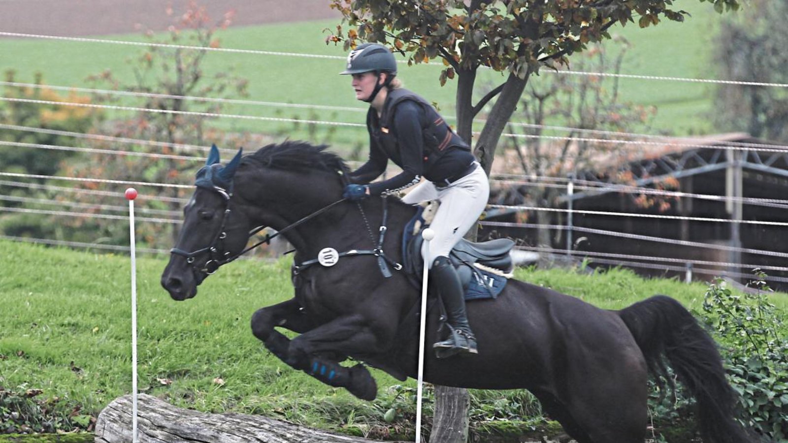 Der RFZV Nussdorf schickt rund 20 Reiter – darunter auch Mandy Schwamberg – in die verschiedenen Prüfungen. Foto: Nachreiner Der RFZV Nussdorf schickt rund 20 Reiter – darunter auch Mandy Schwamberg – in die verschiedenen Prüfungen. Foto: Nachreiner
