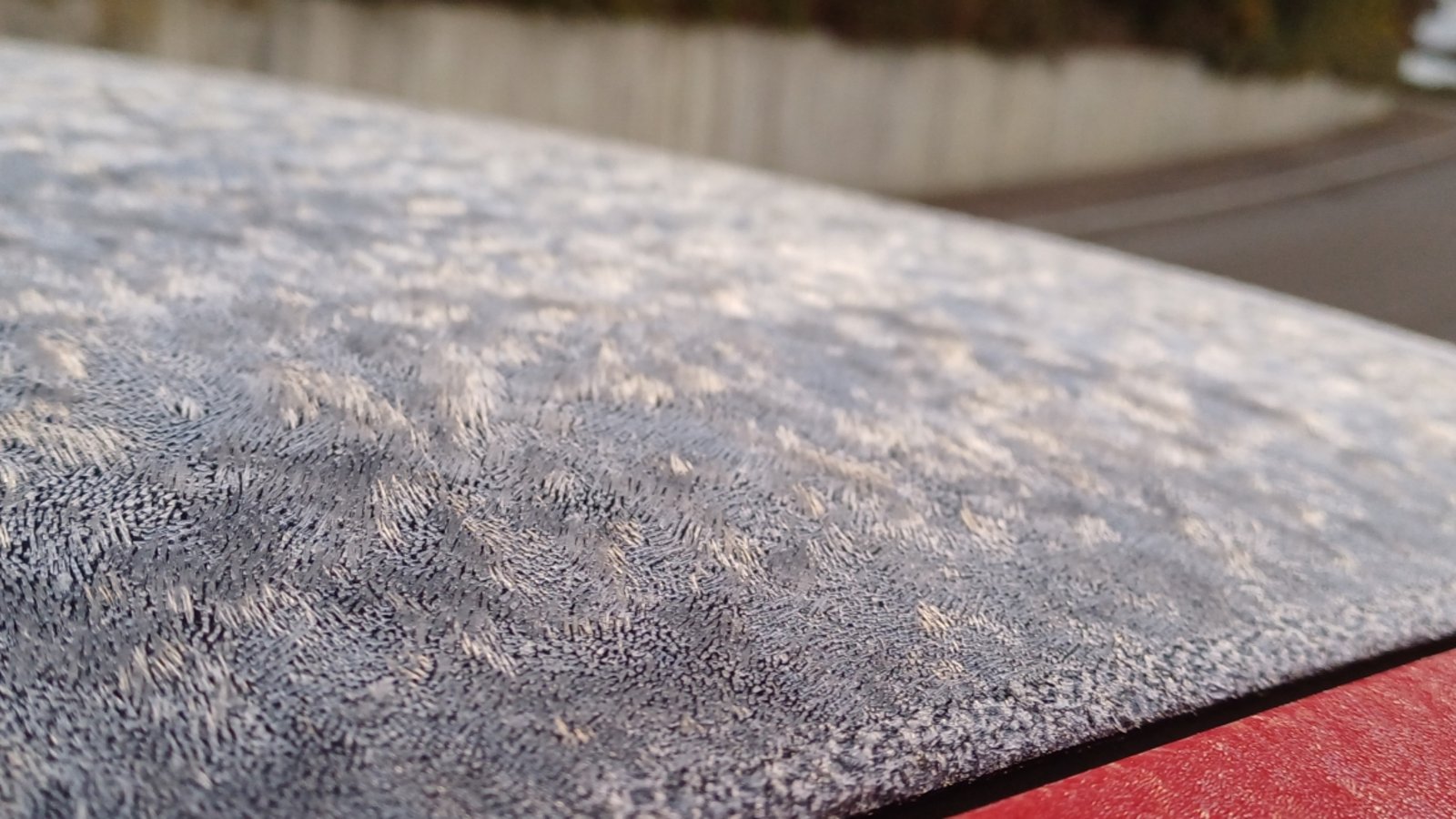 Gefühlt vom Hochsommer in den Winter ging’s in der Nacht zum Montag. Sind die Außenwasserleitungen gerüstet und die empfindlichen Pflanzen drin? Foto: Rücker Gefühlt vom Hochsommer in den Winter ging’s in der Nacht zum Montag. Sind die Außenwasserleitungen gerüstet und die empfindlichen Pflanzen drin? Foto: Rücker