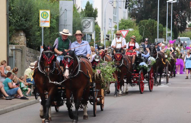 Der große Festumzug mit geschmückten Pferden und Wagen ist jedes Jahr einer der Höhepunkte des Bietigheimer Pferdemarkts.  Archivfoto: VKZ/Arning