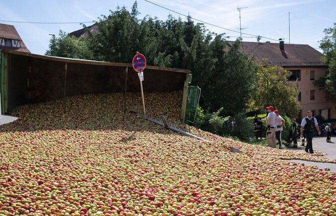 Ein Traktor mit einem mit Äpfel beladenen Anhänger war aus noch unbekannter Ursache auf abschüssiger Strecke umgekippt.<span class='image-autor'>Foto: Marijan Murat/dpa</span>