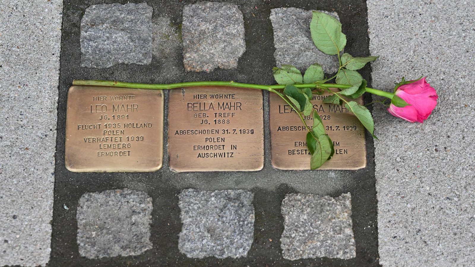 Stolpersteine erinnern in vielen deutschen Städten an individuelle Opfer des Nationalsozialismus. (Archivbild)Foto: Swen Pförtner/dpa