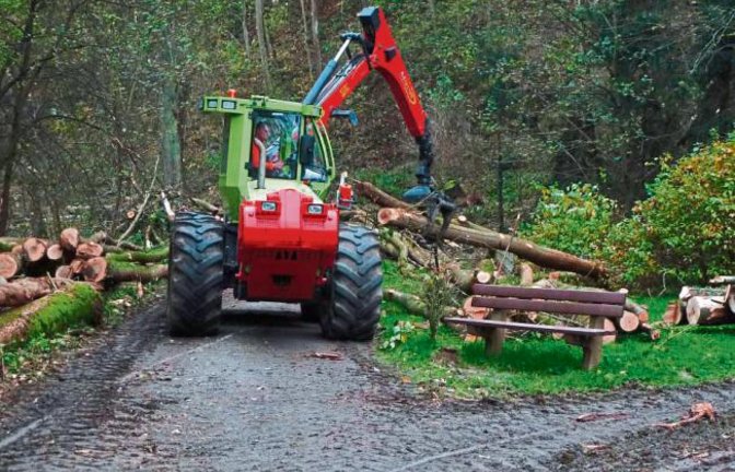 Achtung, Holzarbeiten! Nicht nur im Pulverdinger Holz an der B 10 wurde in den letzten Tagen heftig gesägt, auch am Hammelbergweg zwischen Vaihingen und Enzweihingen gab es zeitweise kaum ein Durchkommen.  Foto: Arning