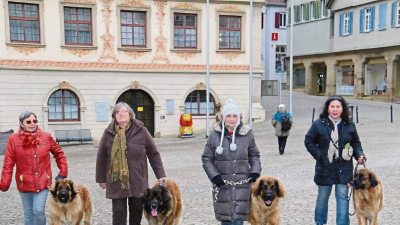 Zwei- und Vierbeiner des Deutschen Clubs für Leonberger Hunde, Landesgruppe Baden-Württemberg, tummelten sich zu Übungszwecken in Vaihingen. Von Passanten habe es „nur positive Resonanz“ gegeben, freuten sich die Frauchen. Foto: Rücker Zwei- und Vierbeiner des Deutschen Clubs für Leonberger Hunde, Landesgruppe Baden-Württemberg, tummelten sich zu Übungszwecken in Vaihingen. Von Passanten habe es „nur positive Resonanz“ gegeben, freuten sich die Frauchen. Foto: Rücker