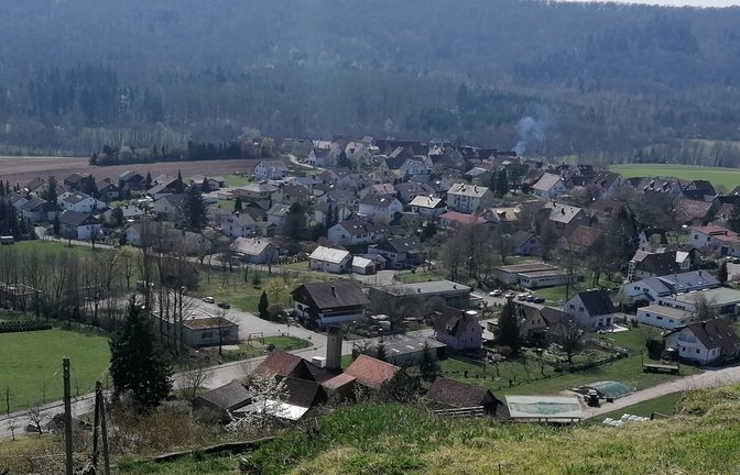 Blick auf Ochsenbach: Auf der an den Ortsrand angrenzenden Freifläche oben links soll das Neubaugebiet entstehen.  Archivfoto: Banholzer