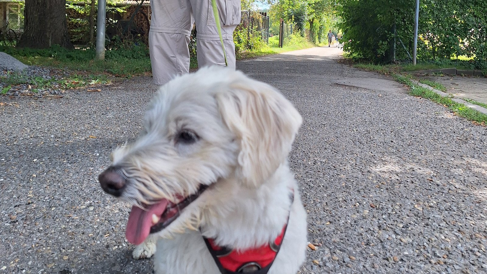 Die Wanderung der 44. S-VKZ-Tour.