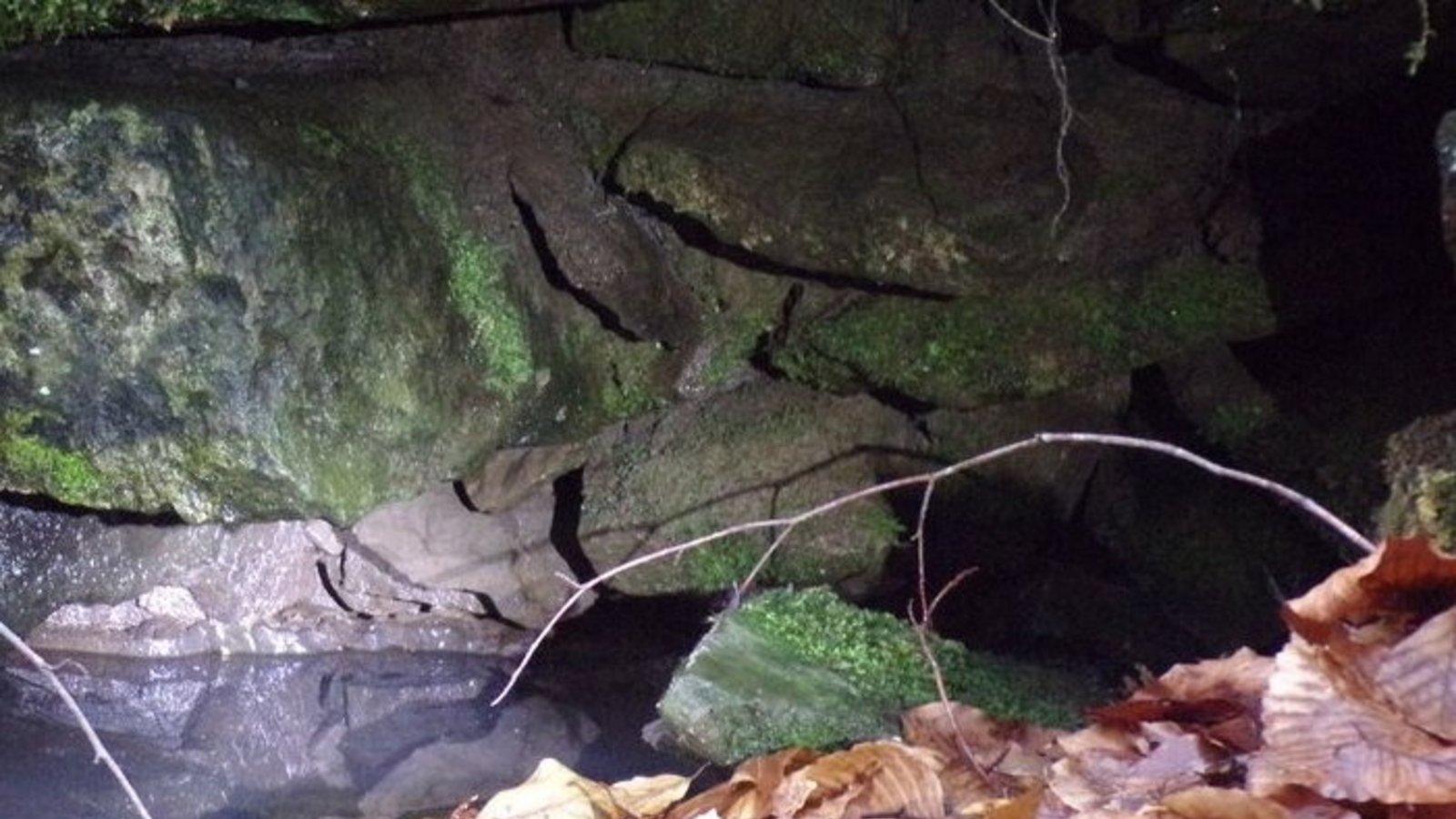 Den Spuren des Wassersystems der Maulbronner Mönche folgt eine Wanderung des HAV Mühlacker mit dem Schwäbischen Albverein. Foto: Rapp Den Spuren des Wassersystems der Maulbronner Mönche folgt eine Wanderung des HAV Mühlacker mit dem Schwäbischen Albverein. Foto: Rapp