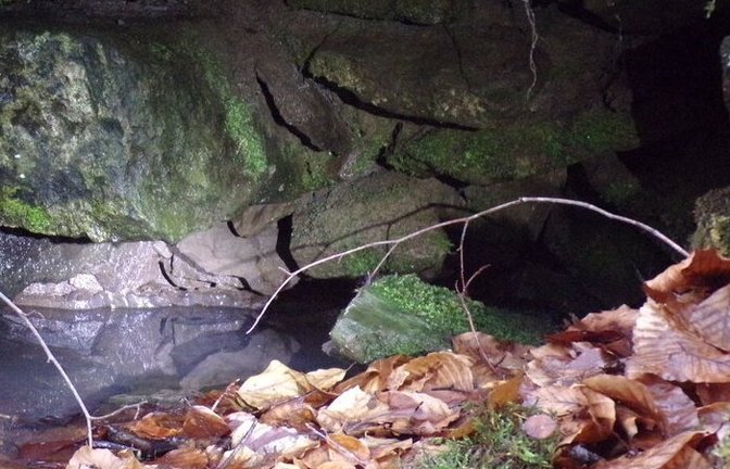 Den Spuren des Wassersystems der Maulbronner Mönche folgt eine Wanderung des HAV Mühlacker mit dem Schwäbischen Albverein.  <span class='image-autor'>Foto: Rapp</span>