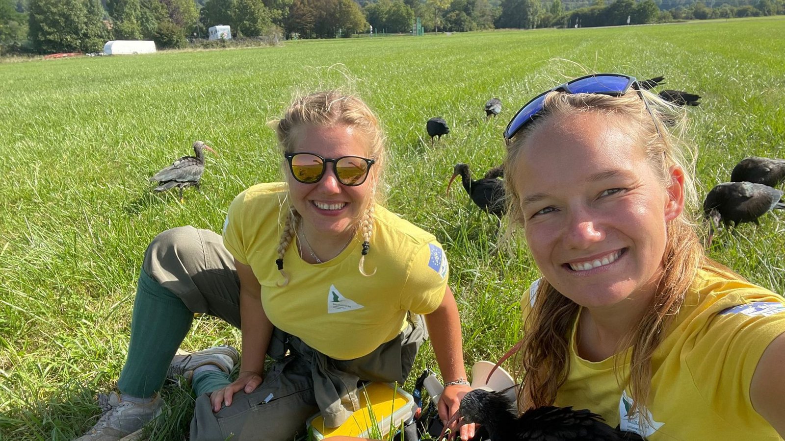 Barbara Steininger (links) und Helena Wehner sind die Ziehmütter der Waldrappe in Überlingen. Die Vögel sind auf sie geprägt und folgen ihnen überall hin.Foto: Waldrappteam Conservation and Research