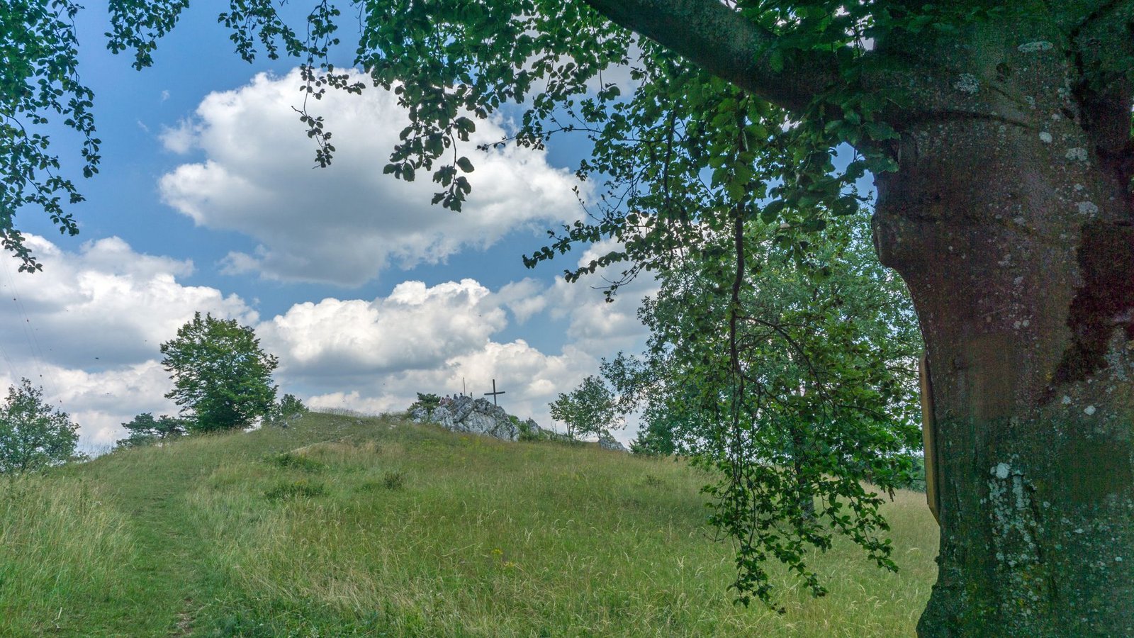 Der Bockberg kurz nach Harburg ist der erste Gipfel, auf den der Läufer oder Wanderer stolz sein darf.Foto: Faltin Der Bockberg kurz nach Harburg ist der erste Gipfel, auf den der Läufer oder Wanderer stolz sein darf.Foto: Faltin