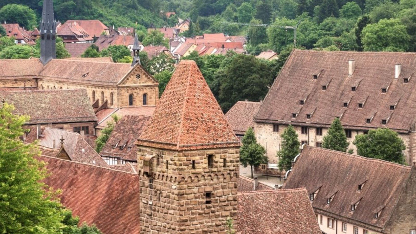 Weinbergführung im Kloster Maulbronn.  Foto: SSG/Günther Bayerl