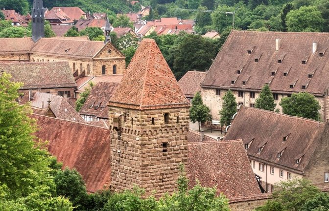 Weinbergführung im Kloster Maulbronn.  <span class='image-autor'>Foto: SSG/Günther Bayerl</span>