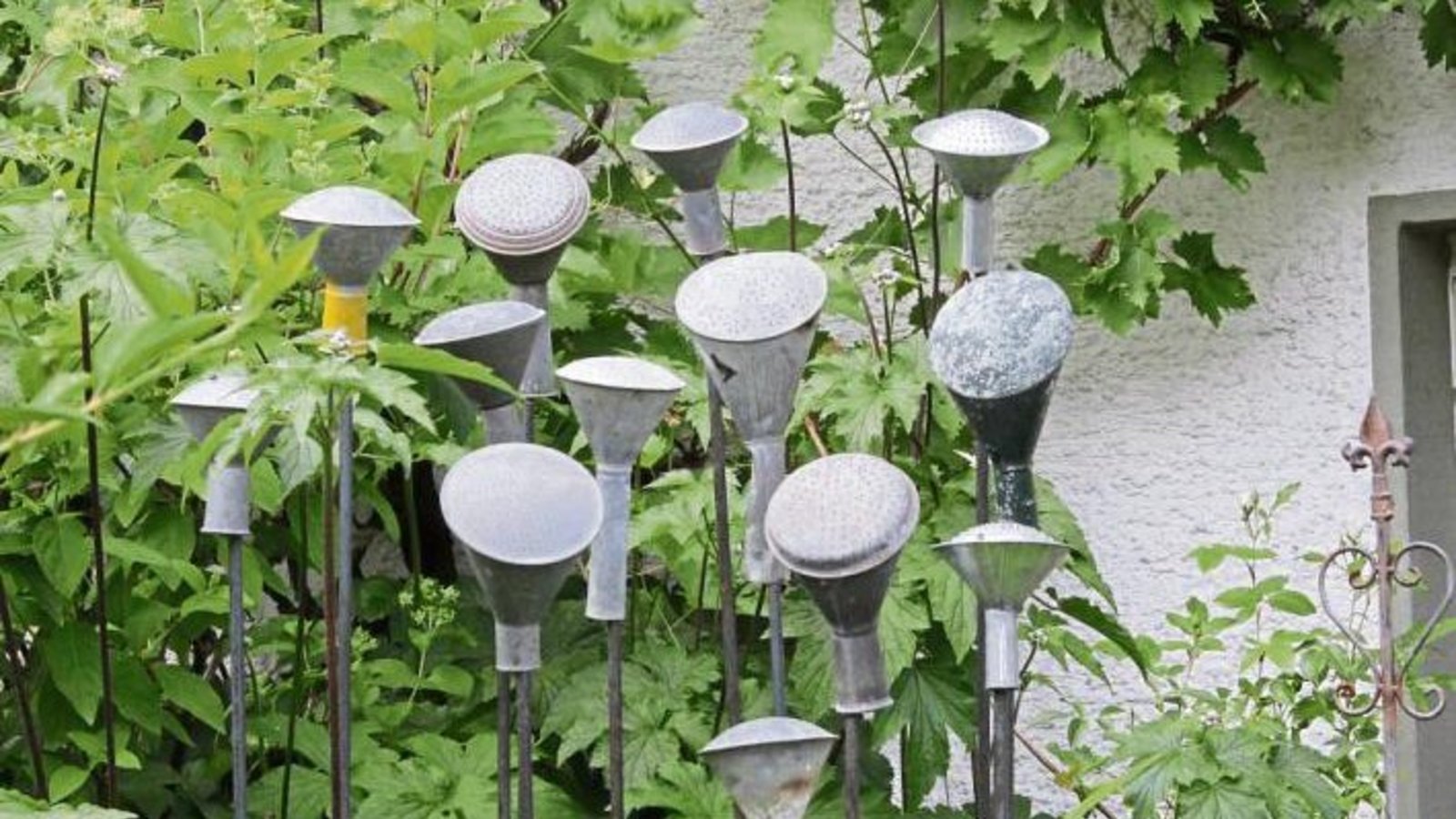 Womit man seinen Garten wohl düngen muss, damit solche Pflanzen wie hier in Roßwag gedeihen?  Foto: Banholzer