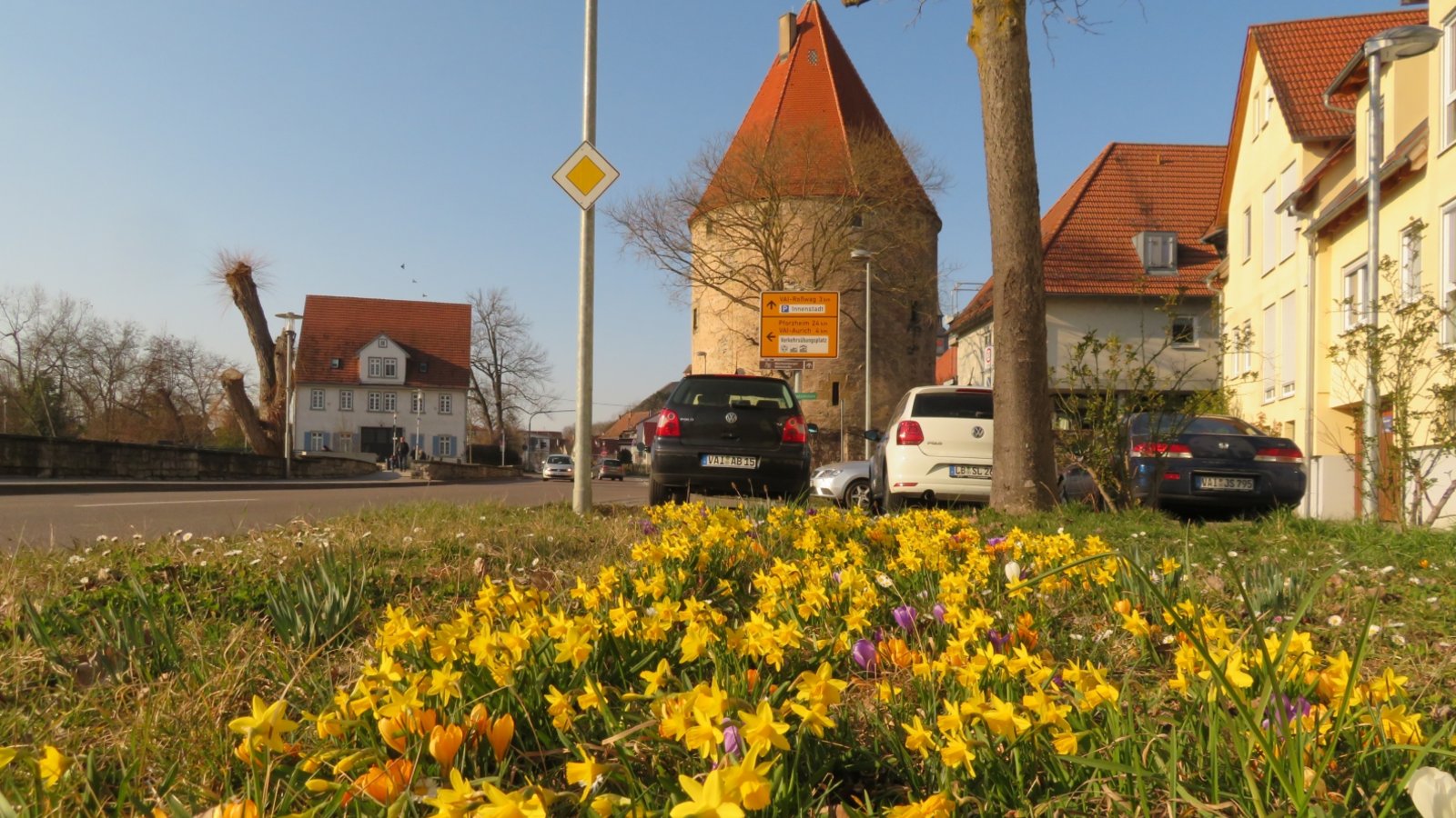 Blütenpracht in der Vaihinger Enzgasse. Foto: Arning