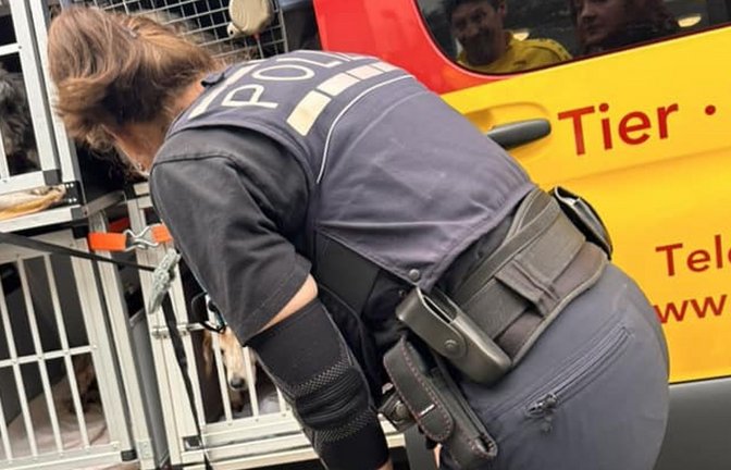 Die Polizei überwachte den Transport der Hunde.<span class='image-autor'>Foto: Tier-Service-Zenrum/Fallenbeck</span>