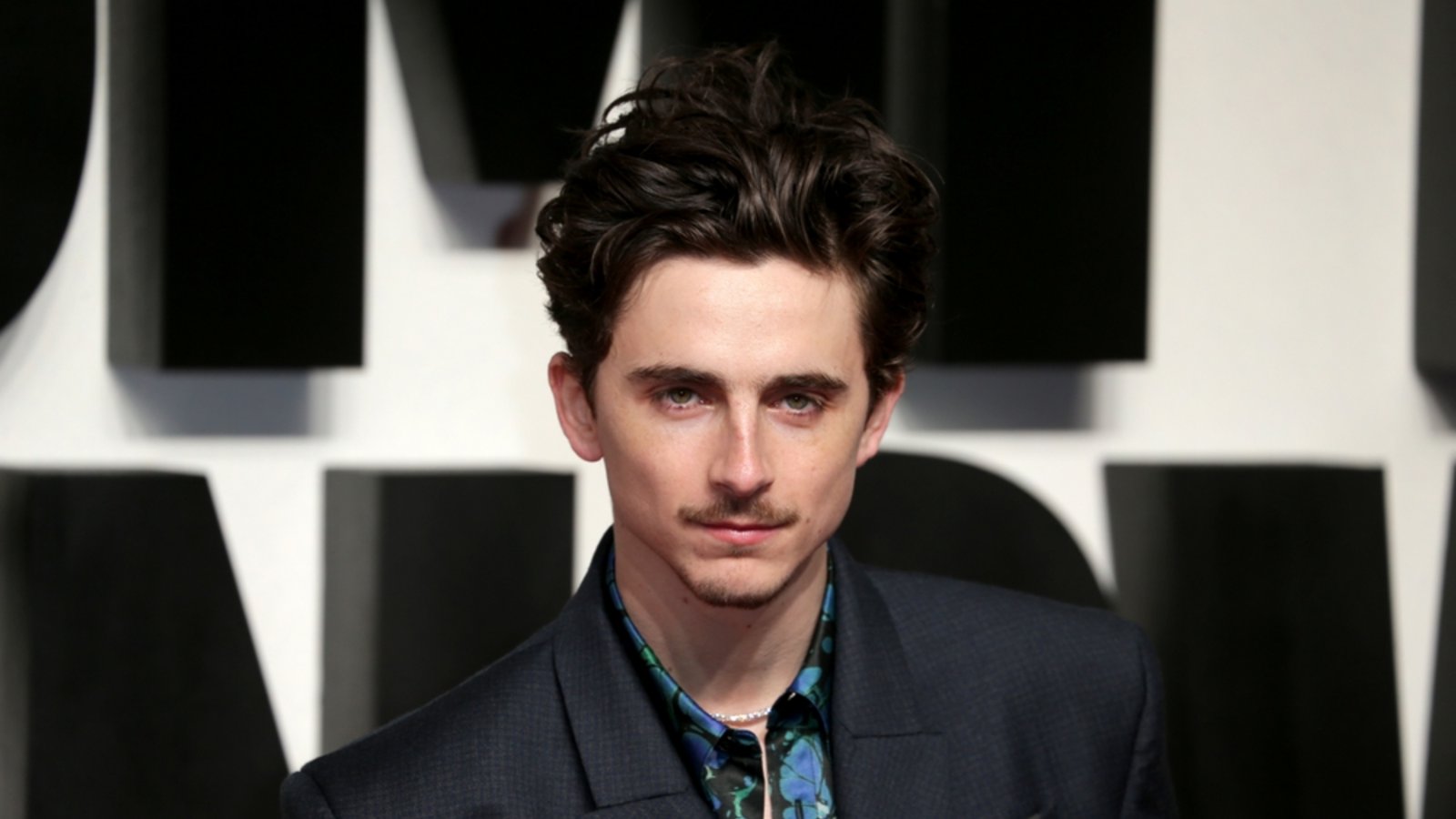 Am 27. Dezember feiert Timothée Chalamet seinen 30. Geburtstag.Foto: Fred Duval/ Shutterstock Am 27. Dezember feiert Timothée Chalamet seinen 30. Geburtstag.Foto: Fred Duval/ Shutterstock