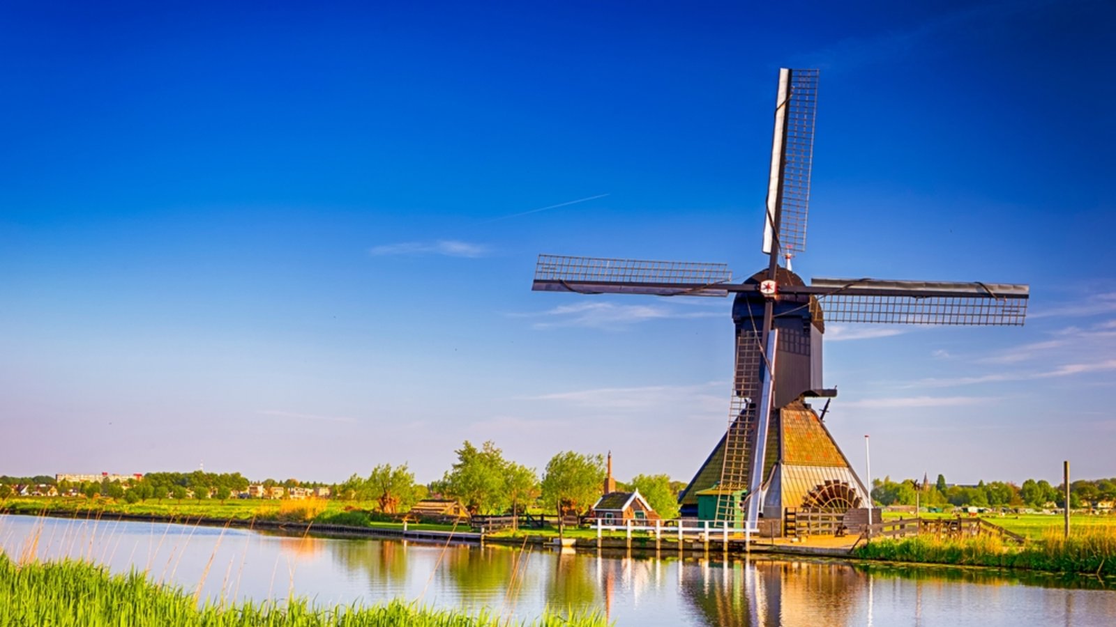 Was ist eigentlich richtig - Niederlande oder Holland?Foto: Dmitry Morgan / shutterstock.com Was ist eigentlich richtig - Niederlande oder Holland?Foto: Dmitry Morgan / shutterstock.com