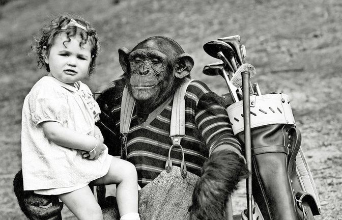 Entspannter Typ (re.), aber ist er auch der richtige Babysitter?<span class='image-autor'>Foto: /Depositphotos/xeverett225x</span>