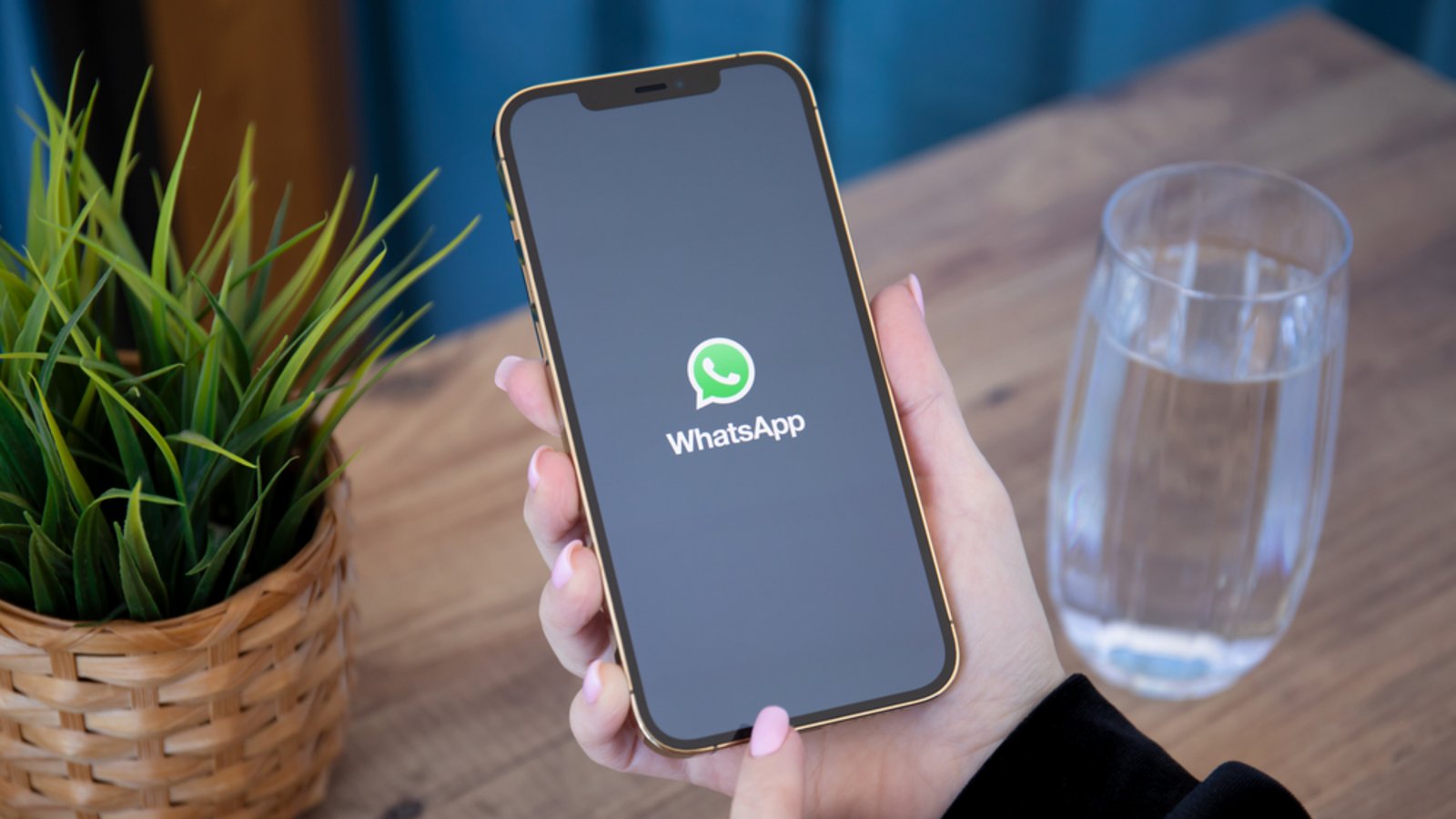 Reicht eine schnelle WhatsApp-Nachricht aus?Foto: DenPhotos / shutterstock.com Reicht eine schnelle WhatsApp-Nachricht aus?Foto: DenPhotos / shutterstock.com