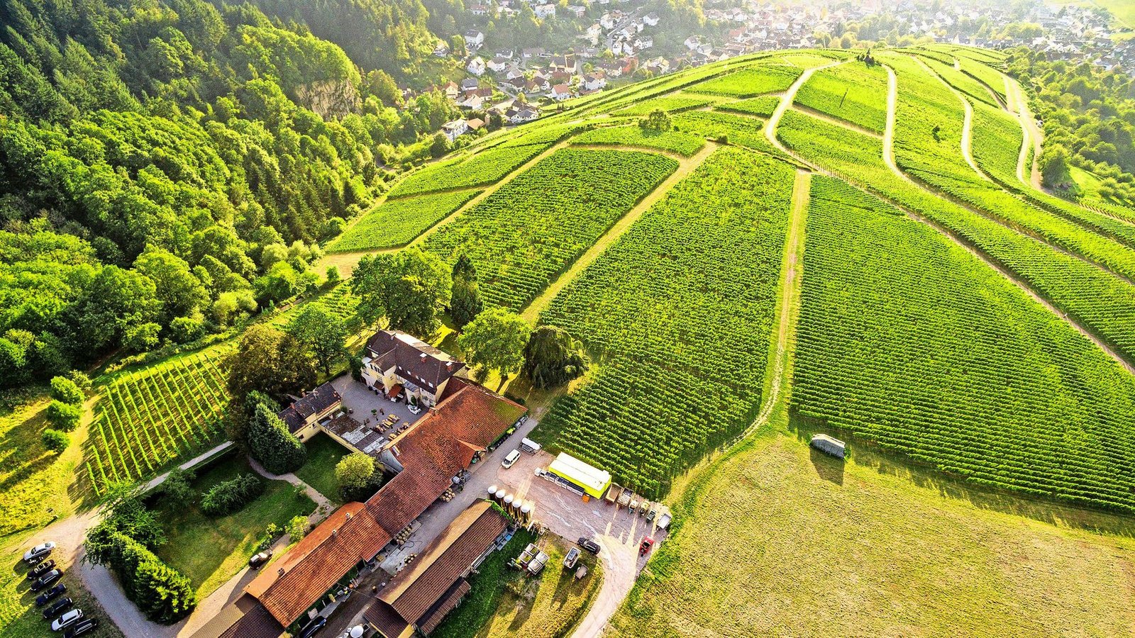 Beliebte Kulisse für den Film: das Weingut Nägelsförst bei Baden-Baden hat schon oft eine Rolle bei Dreharbeiten gespielt.Foto: Weingut Nägelsförst Beliebte Kulisse für den Film: das Weingut Nägelsförst bei Baden-Baden hat schon oft eine Rolle bei Dreharbeiten gespielt.Foto: Weingut Nägelsförst