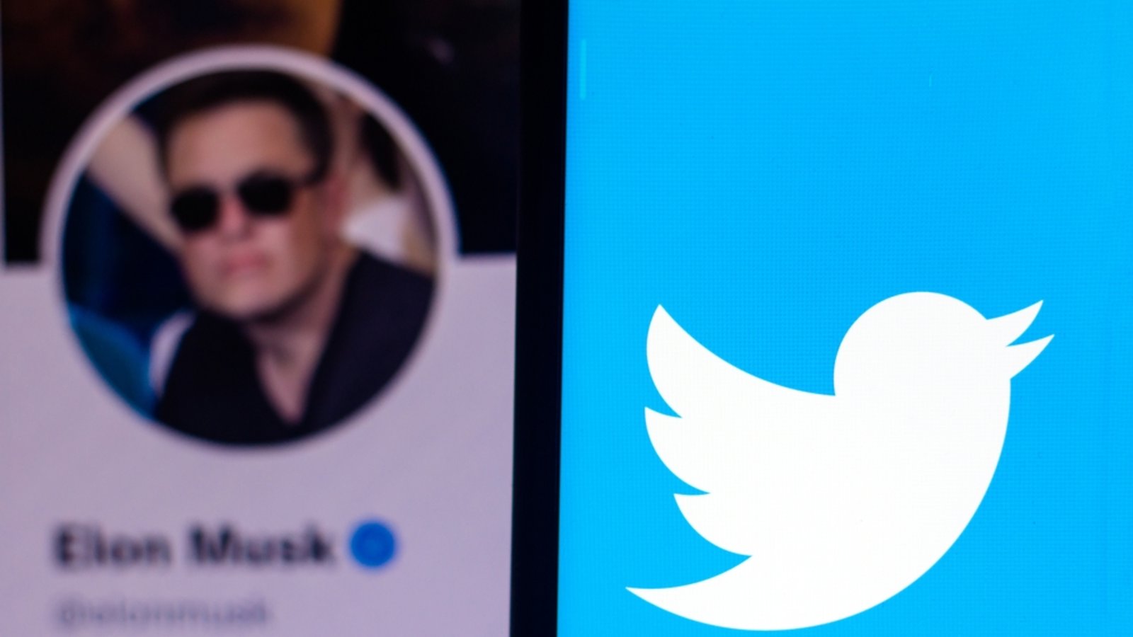 Jetzt ist Elon Musk nicht mehr nur Powernutzer von Twitter.Foto: rafapress / shutterstock.com Jetzt ist Elon Musk nicht mehr nur Powernutzer von Twitter.Foto: rafapress / shutterstock.com