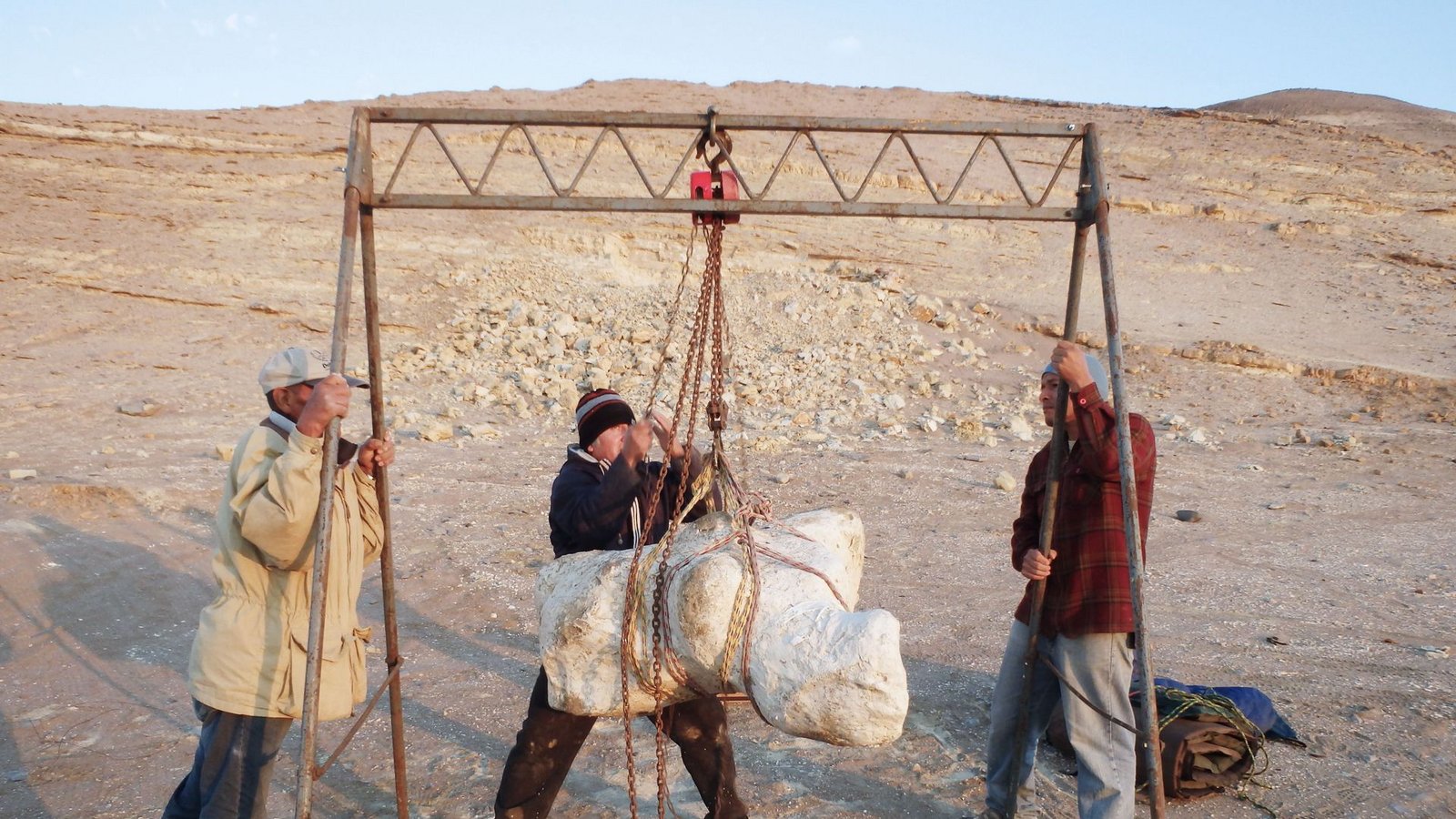 Ein Wirbel wiegt mehr als 100 Kilogramm.Foto: Aldo Marcello