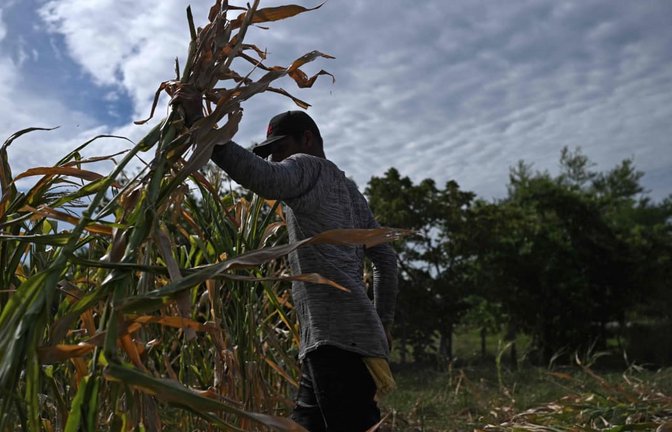 Der gegenwärtige El Niño könnte das weltweit heißeste Jahr seit Beginn der Aufzeichnungen verursachen.<span class='image-autor'>MARVIN RECINOS/afp</span>