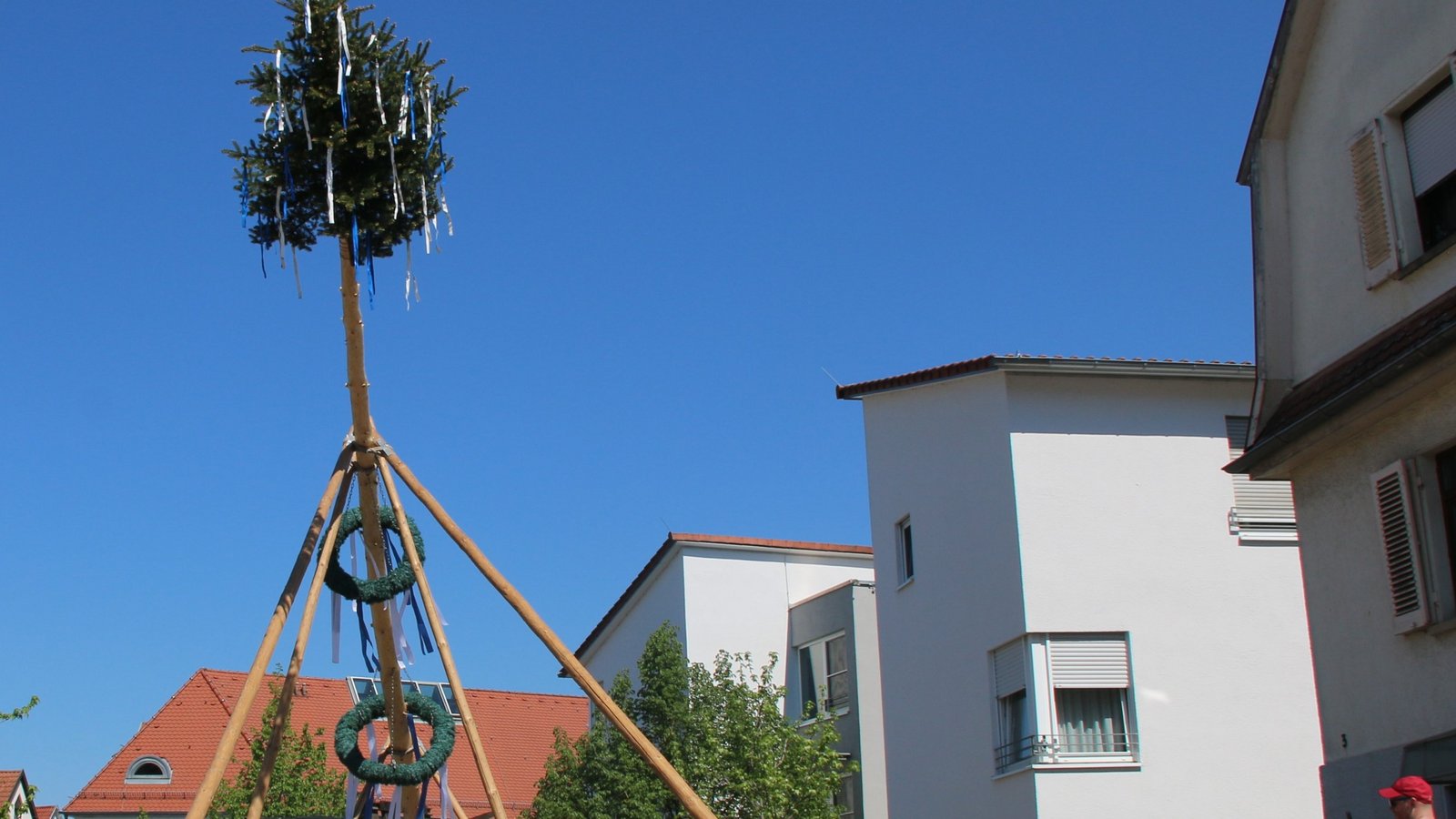 Mit viel Muskelkraft werden am Freitag vielerorts die Maibäume aufgestellt, wie hier in Sersheim. Dazu gibt’s meist ein Fest. Archivfoto: VKZ/Mross