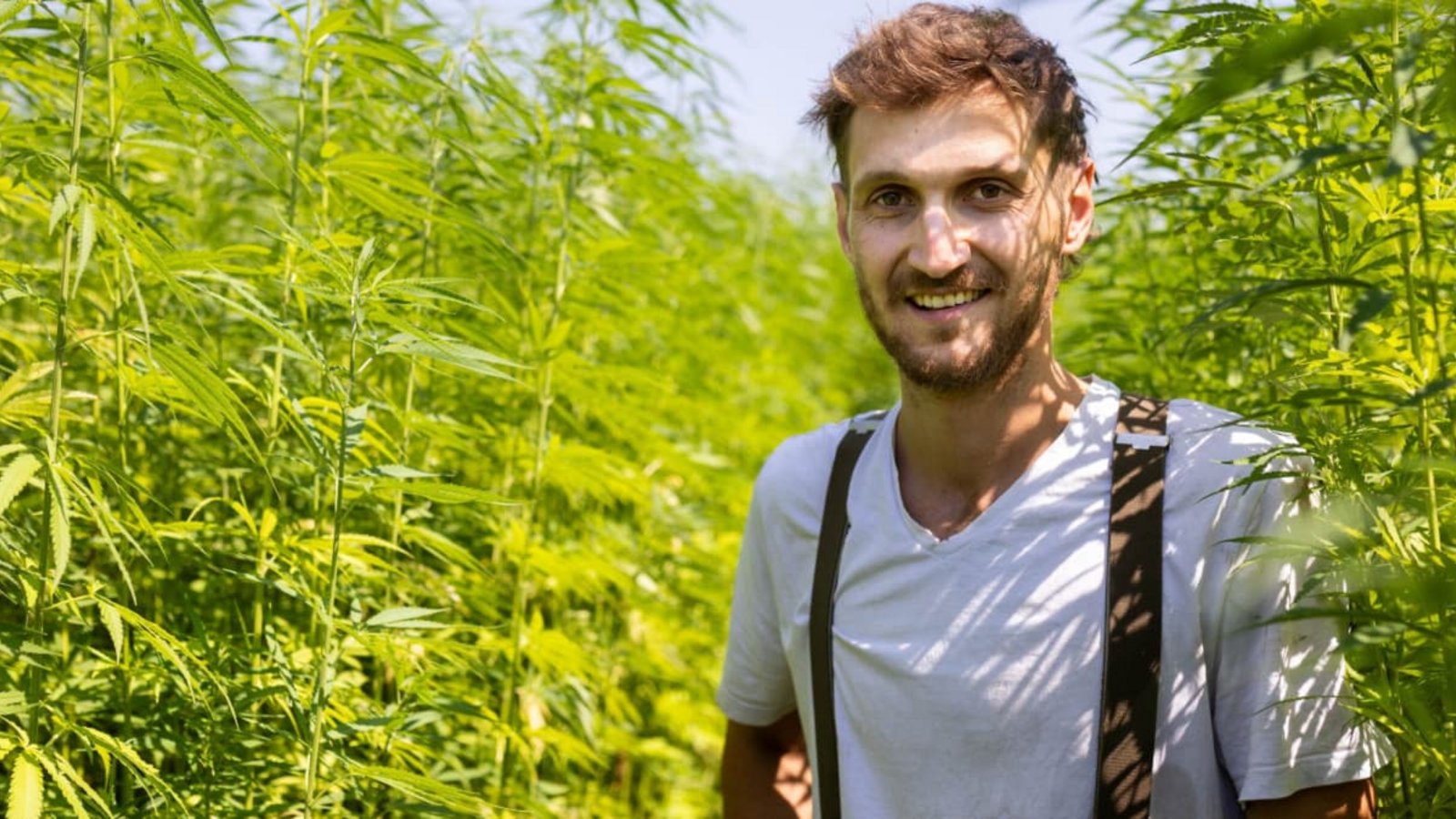 Hanf sei eine der ältesten Nutzpflanzen in Europa, sagt der Landwirt Till Brodbeck.Lichtgut/Julian Rettig Hanf sei eine der ältesten Nutzpflanzen in Europa, sagt der Landwirt Till Brodbeck.Lichtgut/Julian Rettig