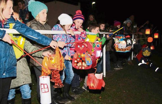 Viele Lichter in der Dunkelheit gab es bei der Martinsfeier in Oberriexingen.  Fotos: Gergen