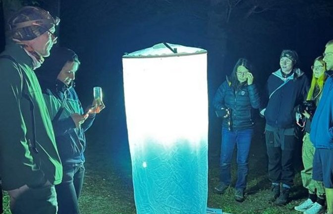 Bei der Lichtfangführung.  <span class='image-autor'>Foto: Trusch</span>