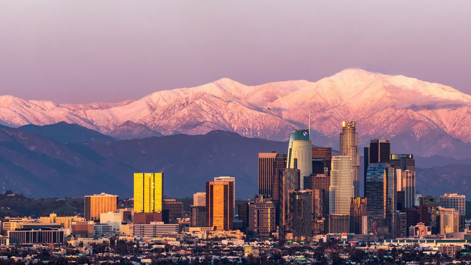 Los Angeles (USA): Rund 37 Millionen Menschen leben in Kalifornien, davon 18 Millionen im Ballungsraum Los Angeles. 1906 wurde San Francisco durch ein Beben der Stärke 7,9 zerstört. Mit 99-prozentiger Sicherheit werde sich in den nächsten 30 Jahren ein Beben der Stärke 7,5 mit Epizentrum Kalifornien ereignen, prophezeien Experten. Die US-Regierung rechnet mit bis zu 15 000 Toten.Foto: Wikipedia commons/Alek Lecksza/CC BY-SA 4.0 Los Angeles (USA): Rund 37 Millionen Menschen leben in Kalifornien, davon 18 Millionen im Ballungsraum Los Angeles. 1906 wurde San Francisco durch ein Beben der Stärke 7,9 zerstört. Mit 99-prozentiger Sicherheit werde sich in den nächsten 30 Jahren ein Beben der Stärke 7,5 mit Epizentrum Kalifornien ereignen, prophezeien Experten. Die US-Regierung rechnet mit bis zu 15 000 Toten.Foto: Wikipedia commons/Alek Lecksza/CC BY-SA 4.0