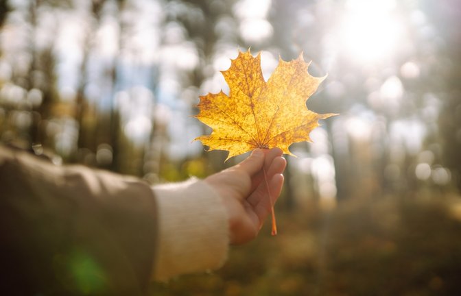 Kommt der goldene Oktober noch?<span class='image-autor'>Foto: maxbelchenko / shutterstock.com</span>