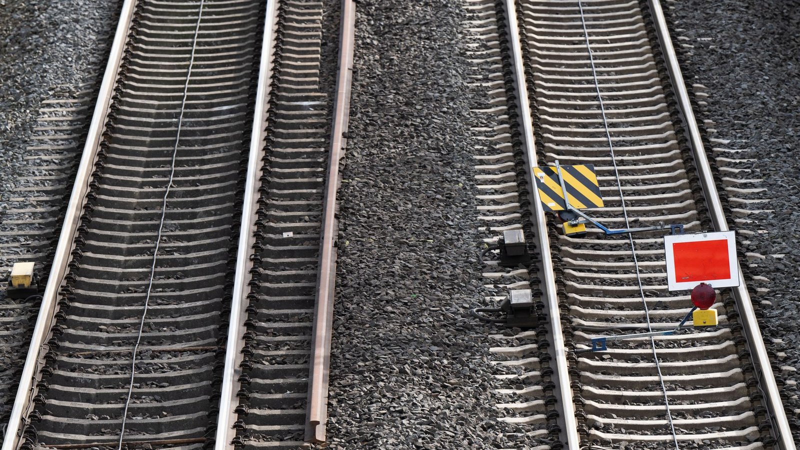 Die Jugendlichen surften auf einer S-Bahn mit. (Symbolbild)Foto: Sebastian Gollnow/dpa/Sebastian Gollnow Die Jugendlichen surften auf einer S-Bahn mit. (Symbolbild)Foto: Sebastian Gollnow/dpa/Sebastian Gollnow