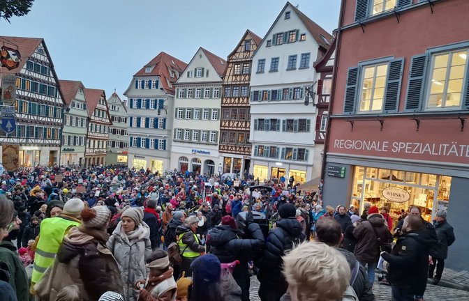 In Tübingen demonstrierten hunderte Eltern gegen kürzere Öffnungszeiten in vielen Kitas.<span class='image-autor'>Foto: privat</span>