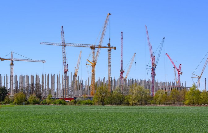 Trotz der Kritik am hohen Strombedarf befürwortet die Mehrheit der Menschen in Deutschland den Bau neuer Rechenzentren.<span class='image-autor'>Foto: Patrick Pleul/dpa</span>