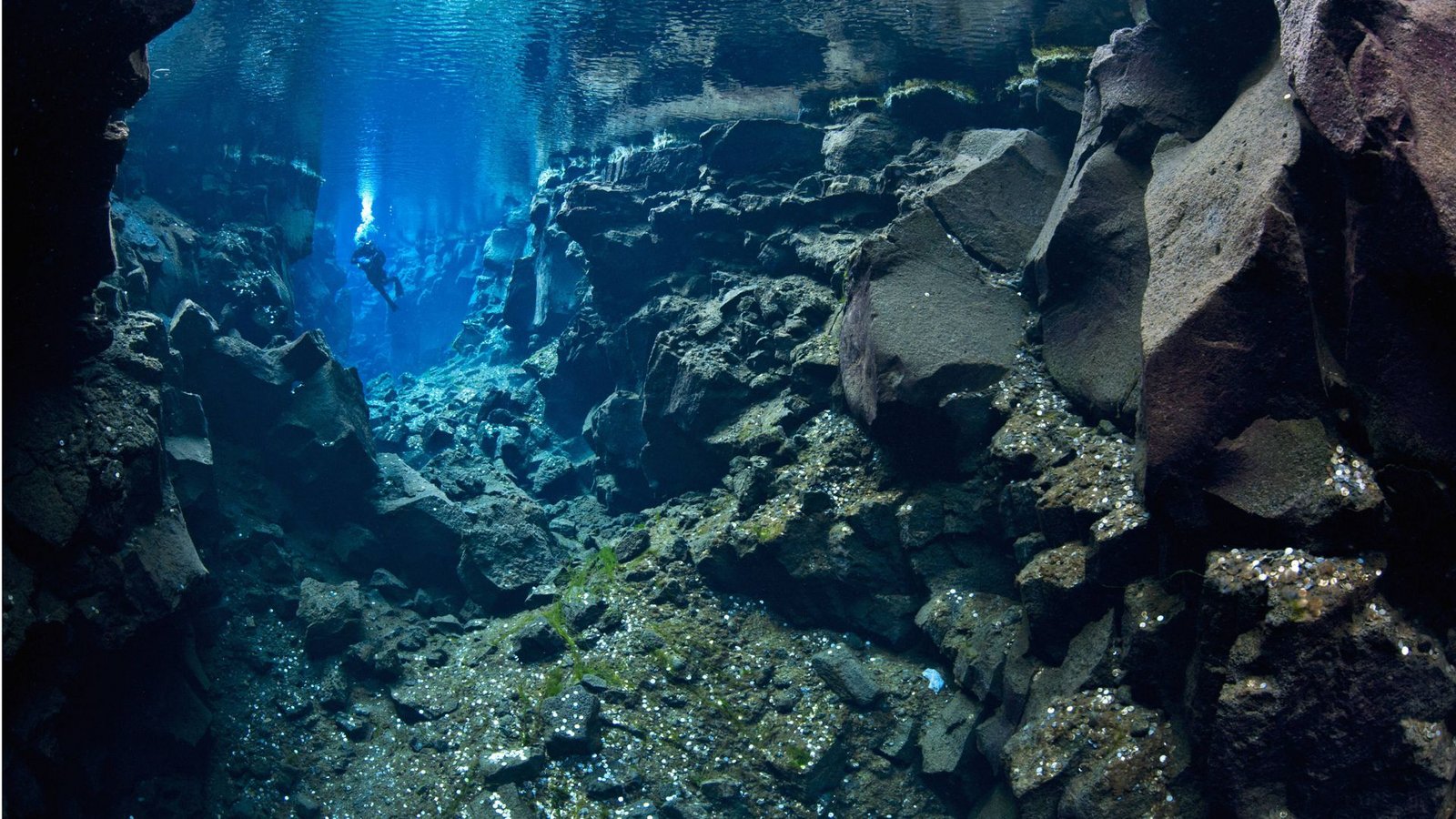 Als Unterwasser-Canyons bezeichnet man steilwandige Schluchten am Meeresboden entlang der Kontinentalränder.Foto: Imago/Nature Picture Library