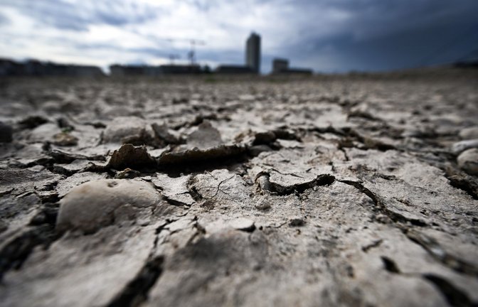 Dürre in Deutschland: die Erde am Rheinufer in Düsseldorf  ist durch die Hitze aufgeplatzt.<span class='image-autor'>Foto: picture alliance/dpa/Federico Gambarini</span>