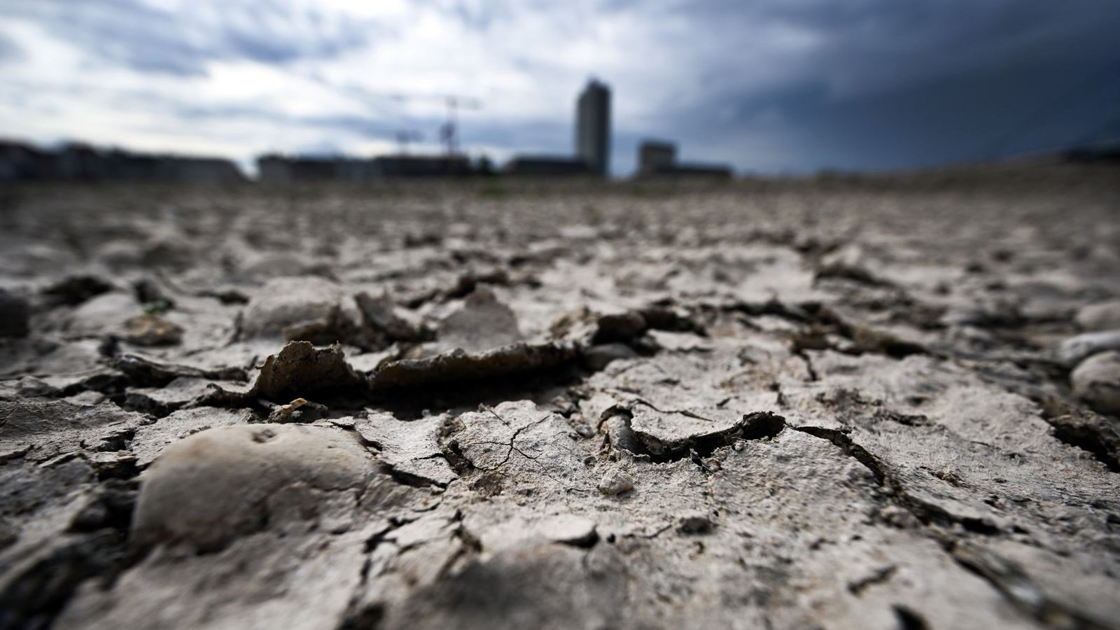 Dürre in Deutschland: die Erde am Rheinufer in Düsseldorf  ist durch die Hitze aufgeplatzt.Foto: picture alliance/dpa/Federico Gambarini