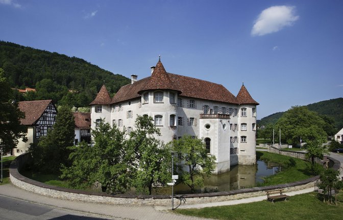 Wird aufgehübscht: Beim denkmalgeschützten Wasserschloss Glatt im Kreis Rottweil werden das Dach Sanierung, der Außenputz und der Schlossgraben saniert – rund 250 000 Euro kommt als finanzielle Unterstützung vom  Land Baden-Württemberg hinzu.<span class='image-autor'>Foto: Landratsamt Rottweil</span>