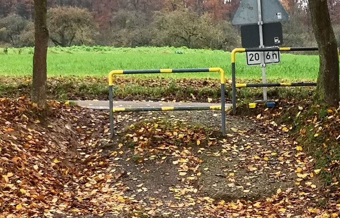 Der kritische Überweg zwischen Großglattbach und dem Abzweig nach Lomersheim. <span class='image-autor'>Foto: p</span>