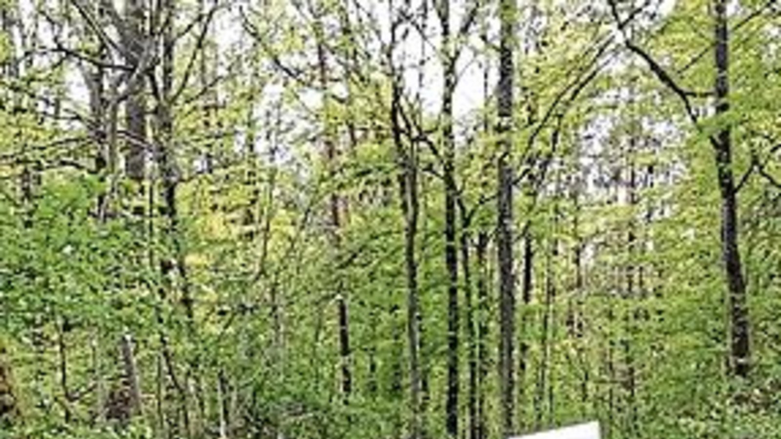 Ein Tank samt Rohrleitungssystem im Wald entsorgt. Foto: p Ein Tank samt Rohrleitungssystem im Wald entsorgt. Foto: p