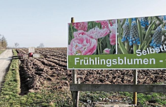 Vorfreude.Der Frühling steht immerhin schon mal auf dem Plakat ... hier gesehen bei Horrheim.  Foto: Arning