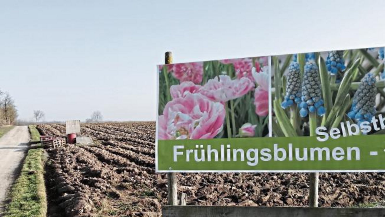 Vorfreude.Der Frühling steht immerhin schon mal auf dem Plakat ... hier gesehen bei Horrheim. Foto: Arning Vorfreude.Der Frühling steht immerhin schon mal auf dem Plakat ... hier gesehen bei Horrheim. Foto: Arning