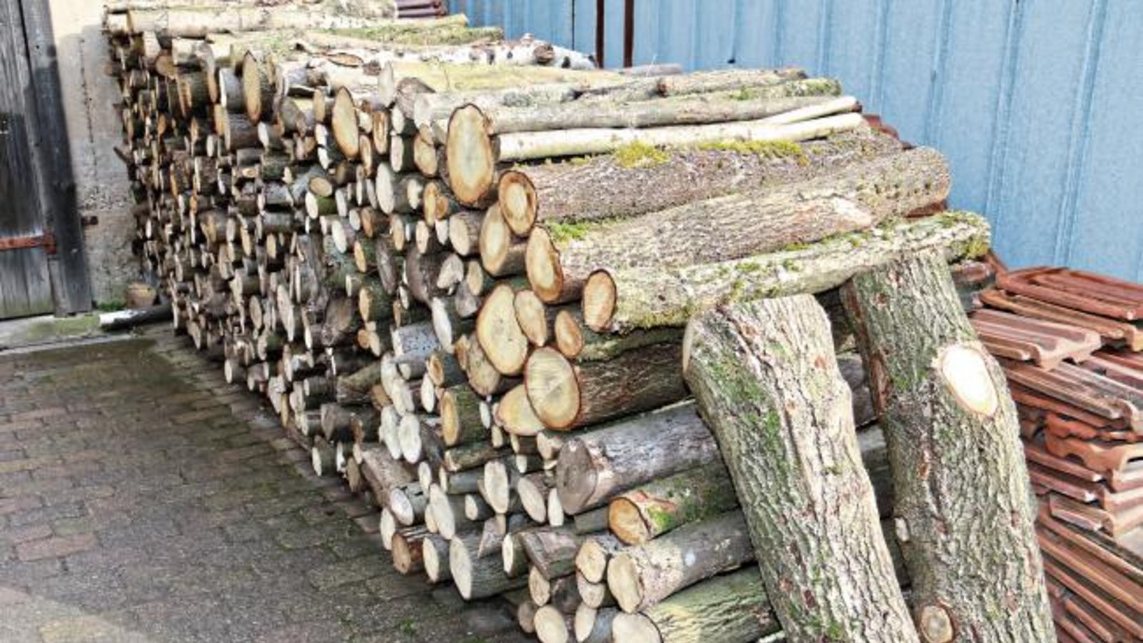 Zwei Aufrechte, die alles beisammen halten. Gesehen in Schützingen.  Foto: Rücker